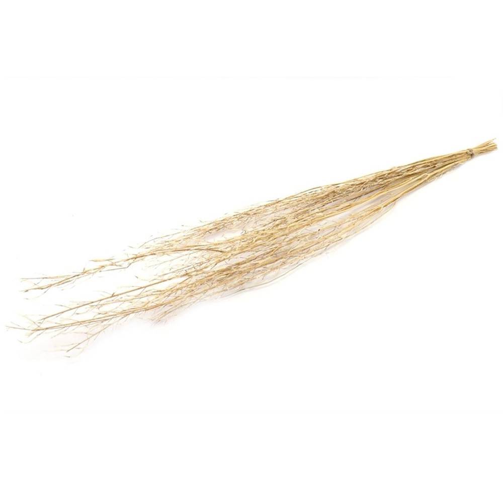 Trocken Mustard Grass natur L90cm