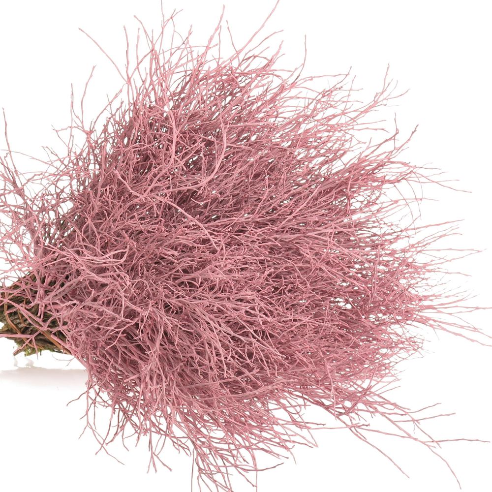 Heidelbeere rosa gefärbt