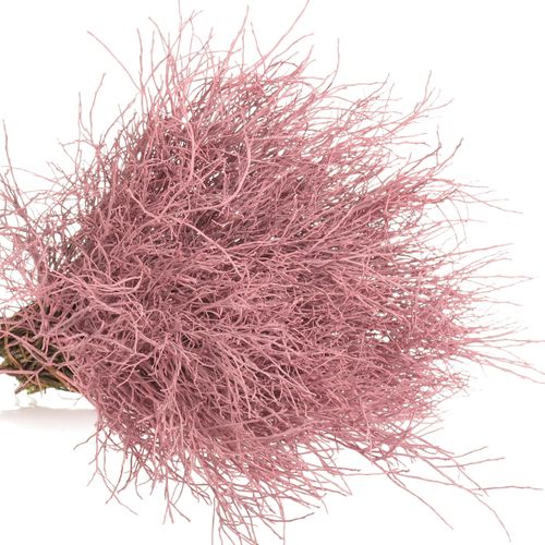 Heidelbeere rosa gefärbt