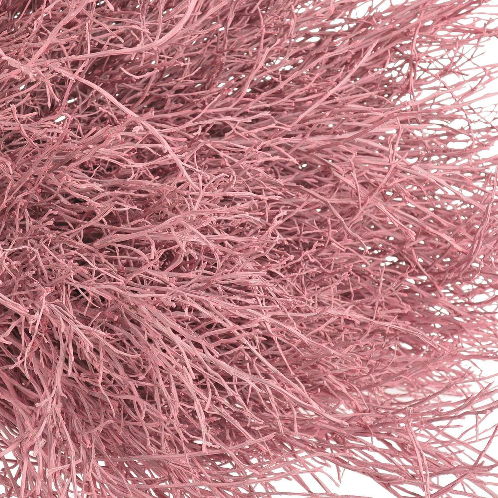 Heidelbeere rosa gefärbt