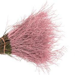 Heidelbeere rosa gefärbt