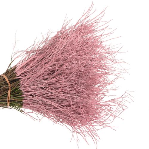 Heidelbeere rosa gefärbt