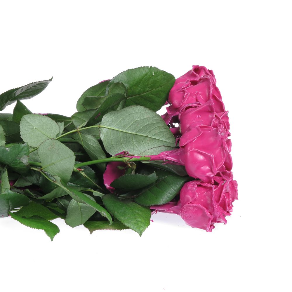 Rose cerise Wachs (W18) 70cm