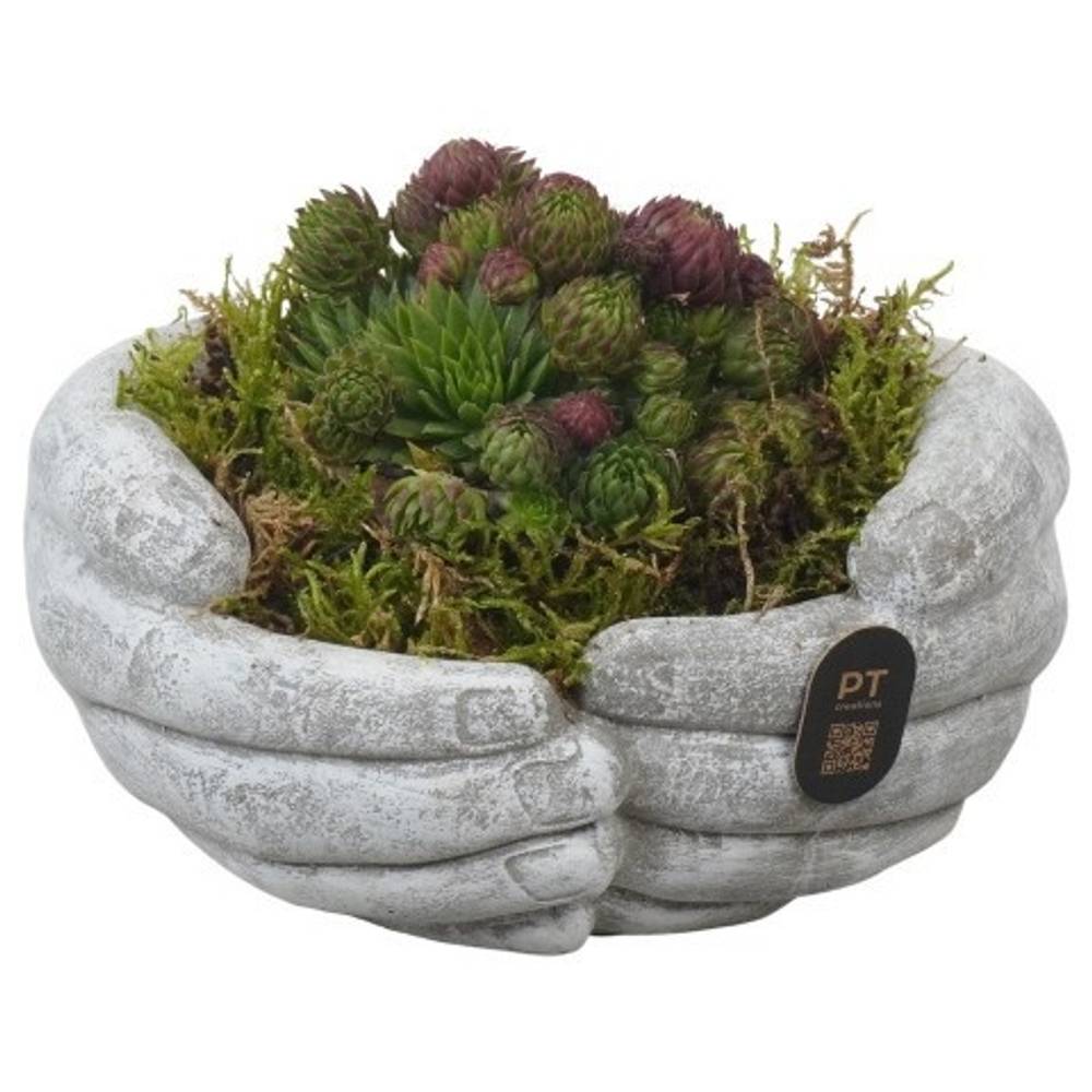 Semper.Arr PTAH3012 Allerheiligen T16 H011