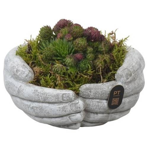 Semper.Arr PTAH3012 Allerheiligen T16 H011