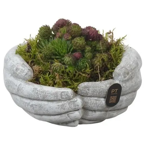 Semper.Arr PTAH3012 Allerheiligen T16 H011