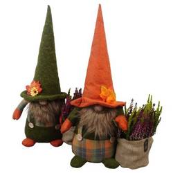 Garten.Arr PTHO7724 Herbst T32 H060