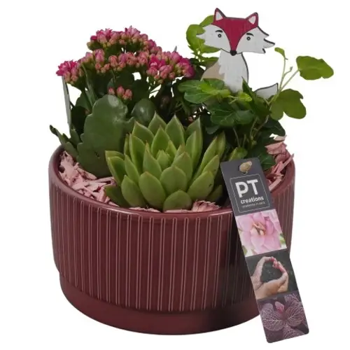 Kal.Arr PTHI5571 Herbst T16 H018