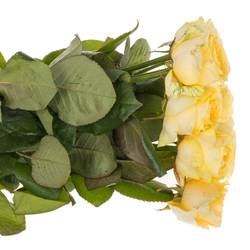 Rose hell gelb Buttercup gefüllt 55cm