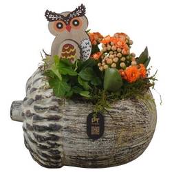 Kal.Arr PTHI3270 Herbst T17 H018