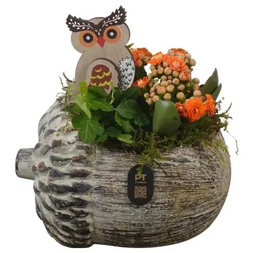 Kal.Arr PTHI3270 Herbst T17 H018