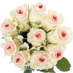 Rose creme/rosa Sugar Love Mont Royal 70cm