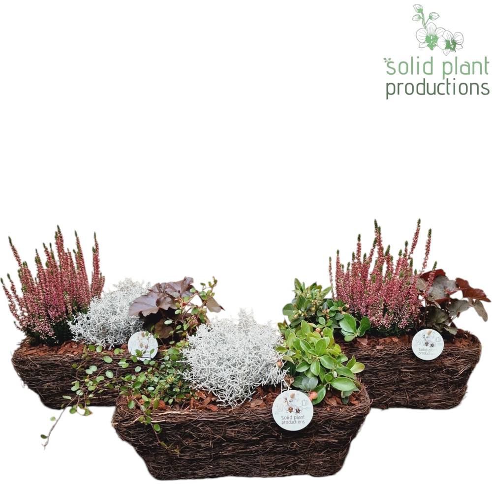 Garten.Arr SRM004 mix Herbst T34 H035