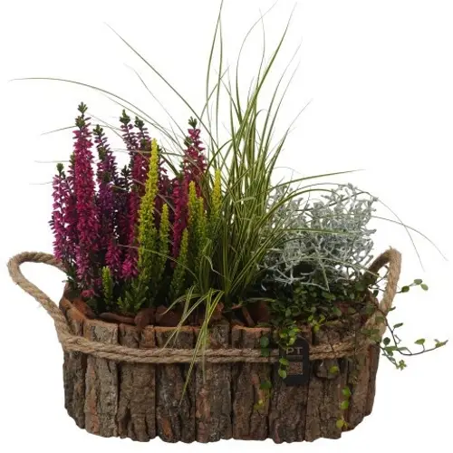 Garten.Arr PTHO7658 Herbst T27 H034