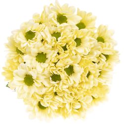 Chrys.Tros creme Chic 75 Gramm