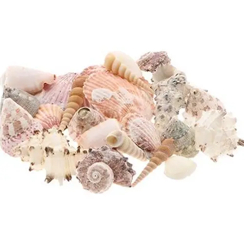 Muschel mix natur 1kg 