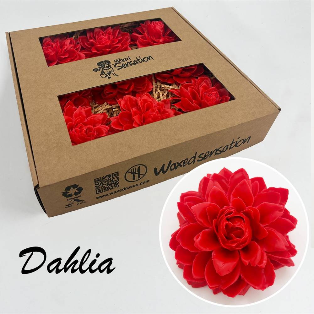 Seiden Wachs Dahlia rot