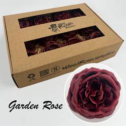 Seiden Wachs Gartenrose weinrot