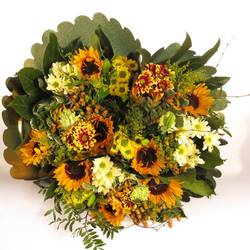 Strauß Sonnenblume 50cm 11 Stiele