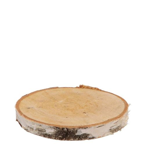 Trocken Birke Scheibe D12/14cm H02cm