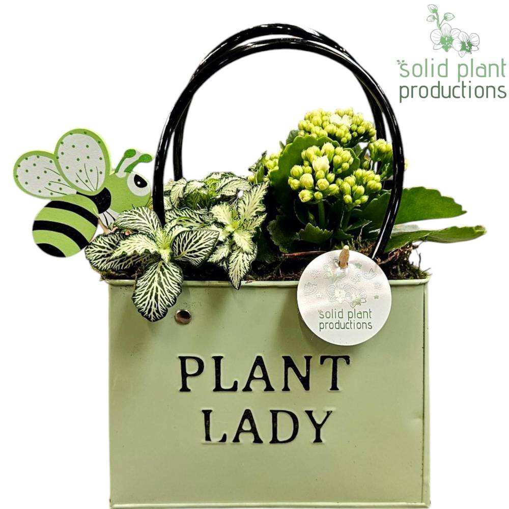 Kal.Arr ZKE001GREEN T18 H028