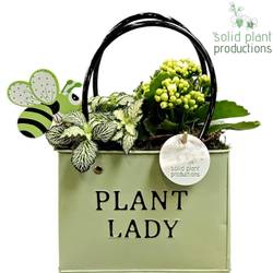 Kal.Arr ZKE001GREEN T18 H028