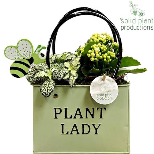 Kal.Arr ZKE001GREEN T18 H028