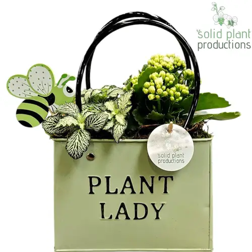 Kal.Arr ZKE001GREEN T18 H028