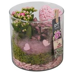 Kal.Arr PTVMG4923 T15 H021