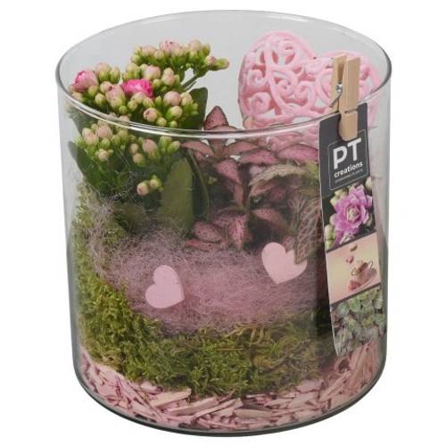 Kal.Arr PTVMG4923 T15 H021