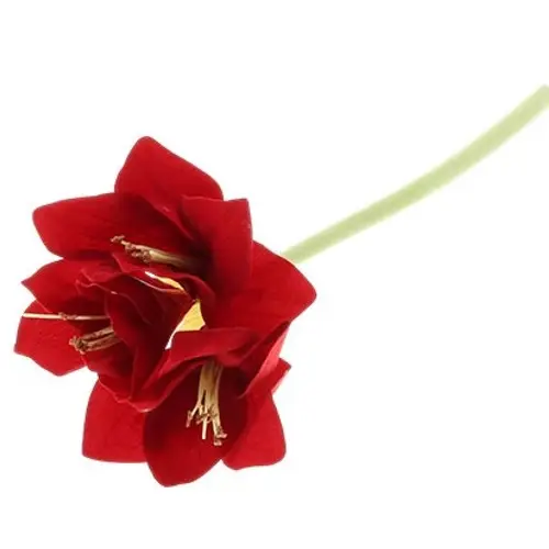 Seiden Amaryllis rot L40cm