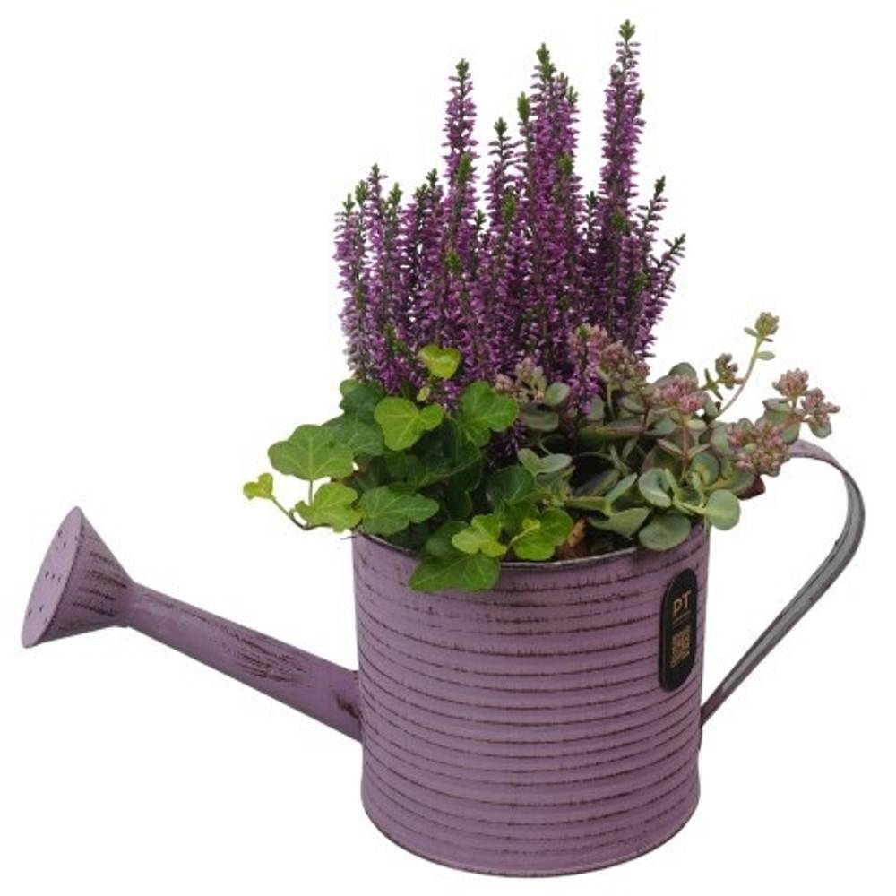 Garten.Arr PTHO7592 Herbst T34 H033