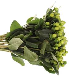 Hypericum grün Nat.40cm