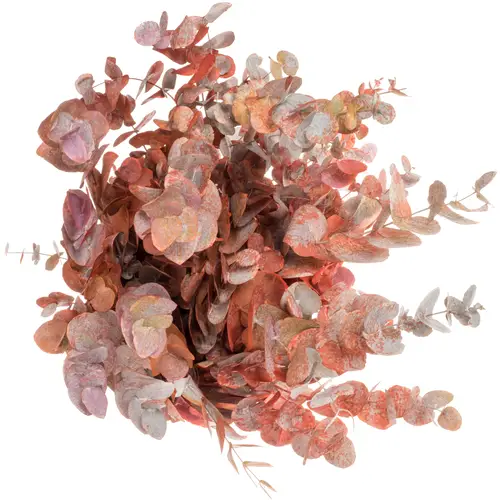 Populus mix Picasso gefäbt 200 Gramm 70cm