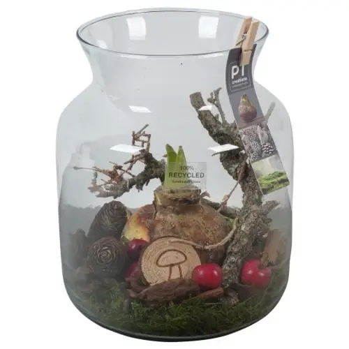 Amaryl.Arr PTAA7593 rote Bl. T19 H026