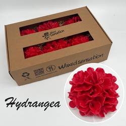Seiden Wachs Hortensie rot Bol 12-14cm