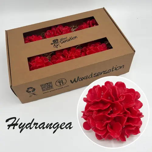 Seiden Wachs Hortensie rot