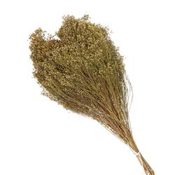 Trocken Broom natur L70cm