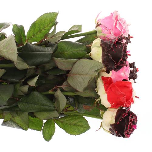 Rose wachs mix Choco Love duftend Muttertag 70cm