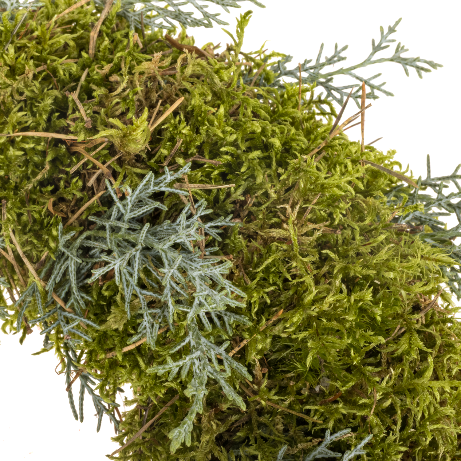 Kranz Arizonika/Moos D30cm Aussen 33cm