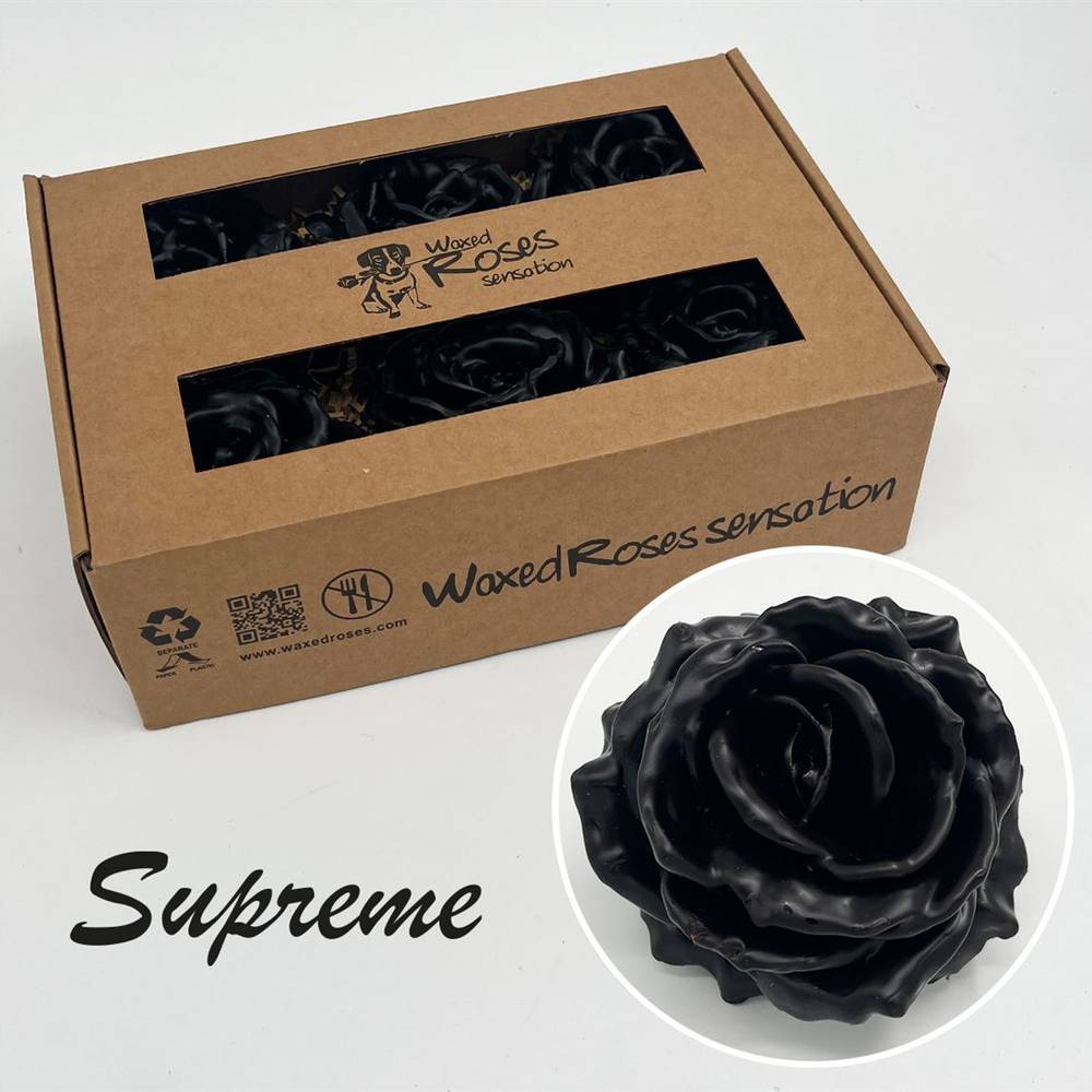 Seiden Wachs Rose Supreme schwarz
