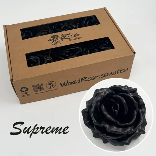 Seiden Wachs Rose Supreme schwarz