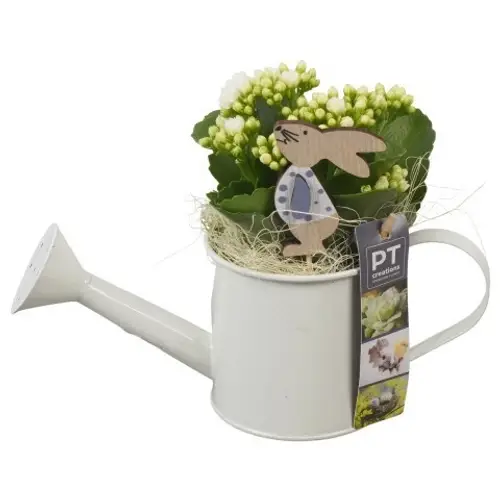 Kal.Arr PTPB6429 Ostern T09 H019