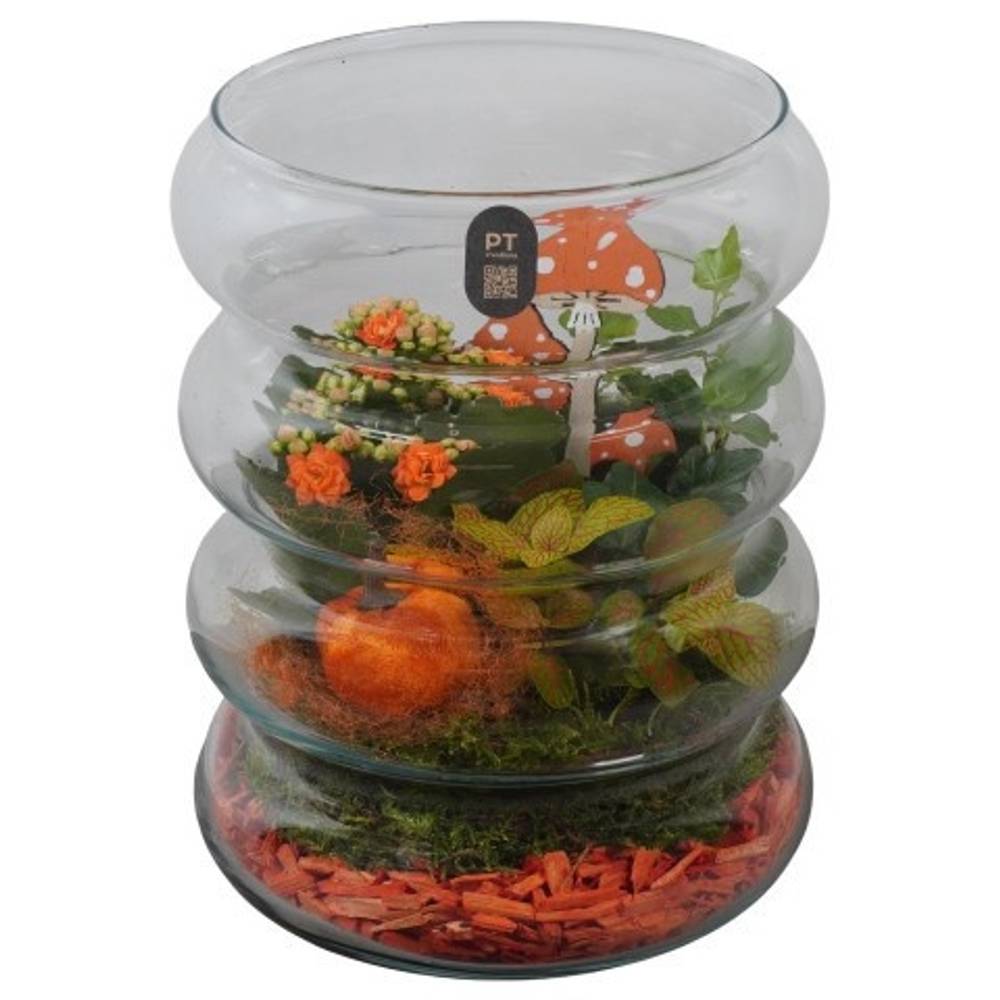 Kal.Arr PTHG8271 Herbst T19 H025