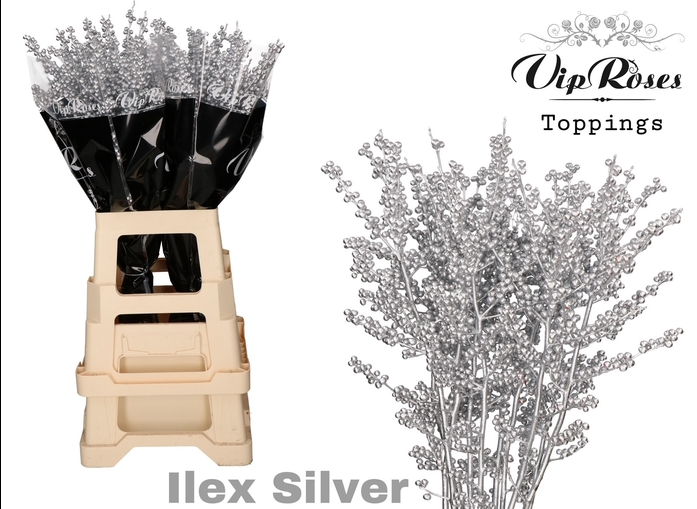 Ilex silber gefarbt 70cm