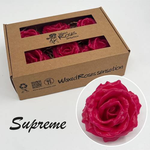 Seiden Wachs Rose Supreme fuchsia