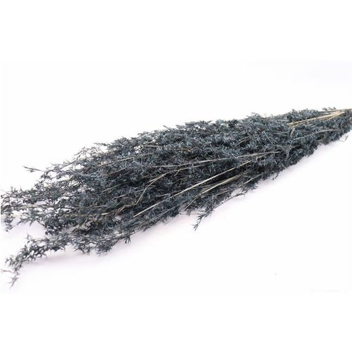 Trocken Beta Grass grau L100cm