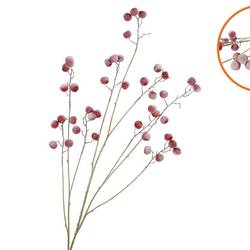 Seidenapfel Schnee rot L135cm