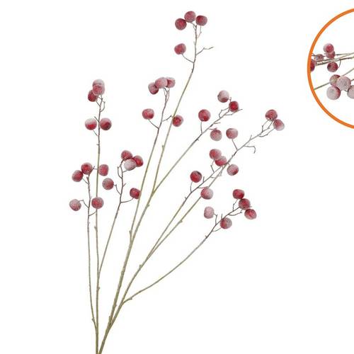 Seidenapfel Schnee rot L135cm