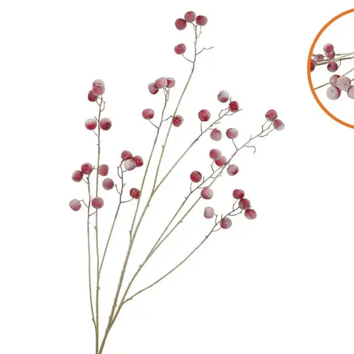 Seidenapfel Schnee rot L135cm
